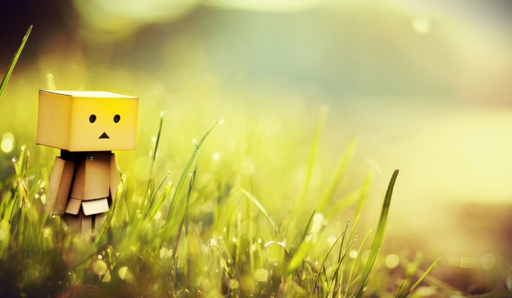 Danbo In Green Grass wallpaper