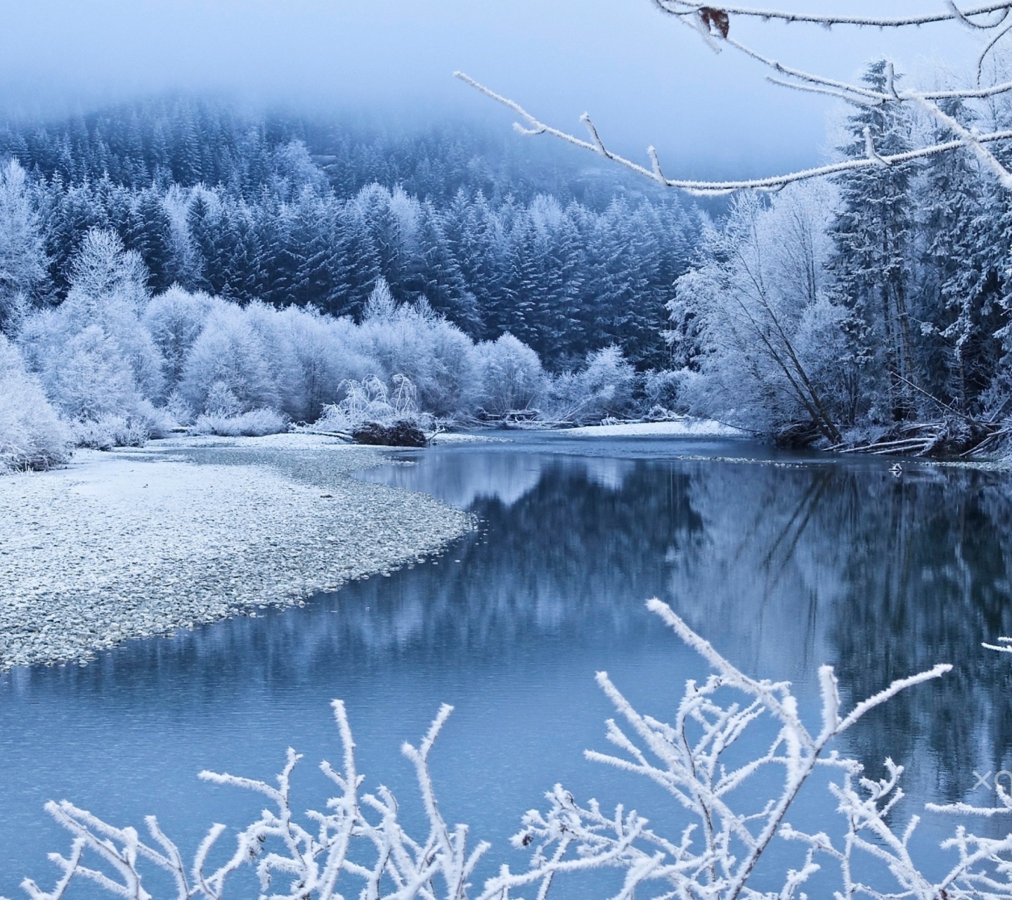 Fondo de pantalla Winter Snow 1440x1280