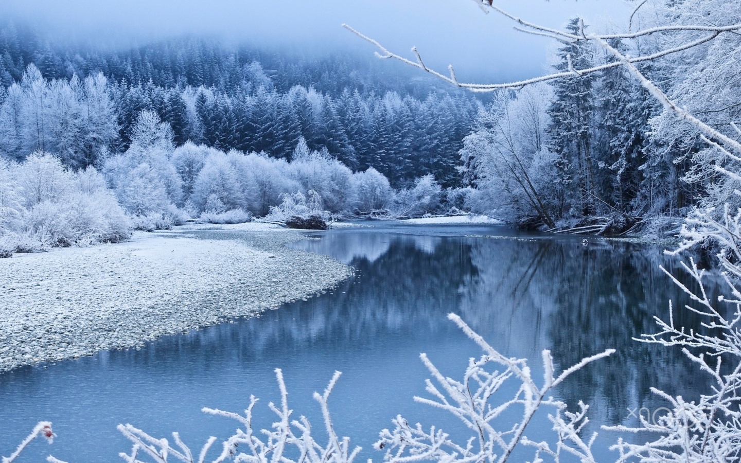Das Winter Snow Wallpaper 1440x900