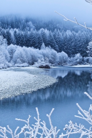 Fondo de pantalla Winter Snow 320x480