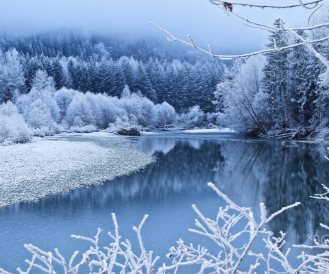 Winter Snow wallpaper 480x400