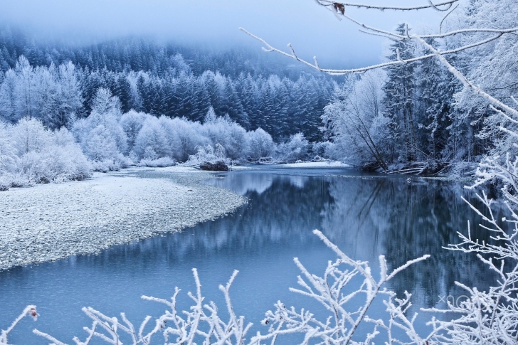 Fondo de pantalla Winter Snow