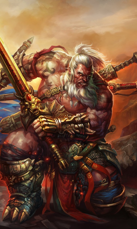 Das Barbarian - Diablo III Wallpaper 480x800