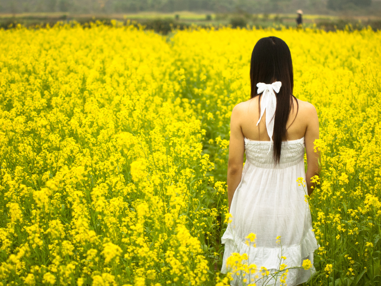 Fondo de pantalla Girl At Yellow Flower Field 1280x960