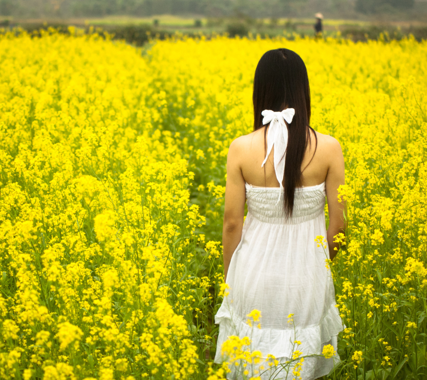 Обои Girl At Yellow Flower Field 1440x1280