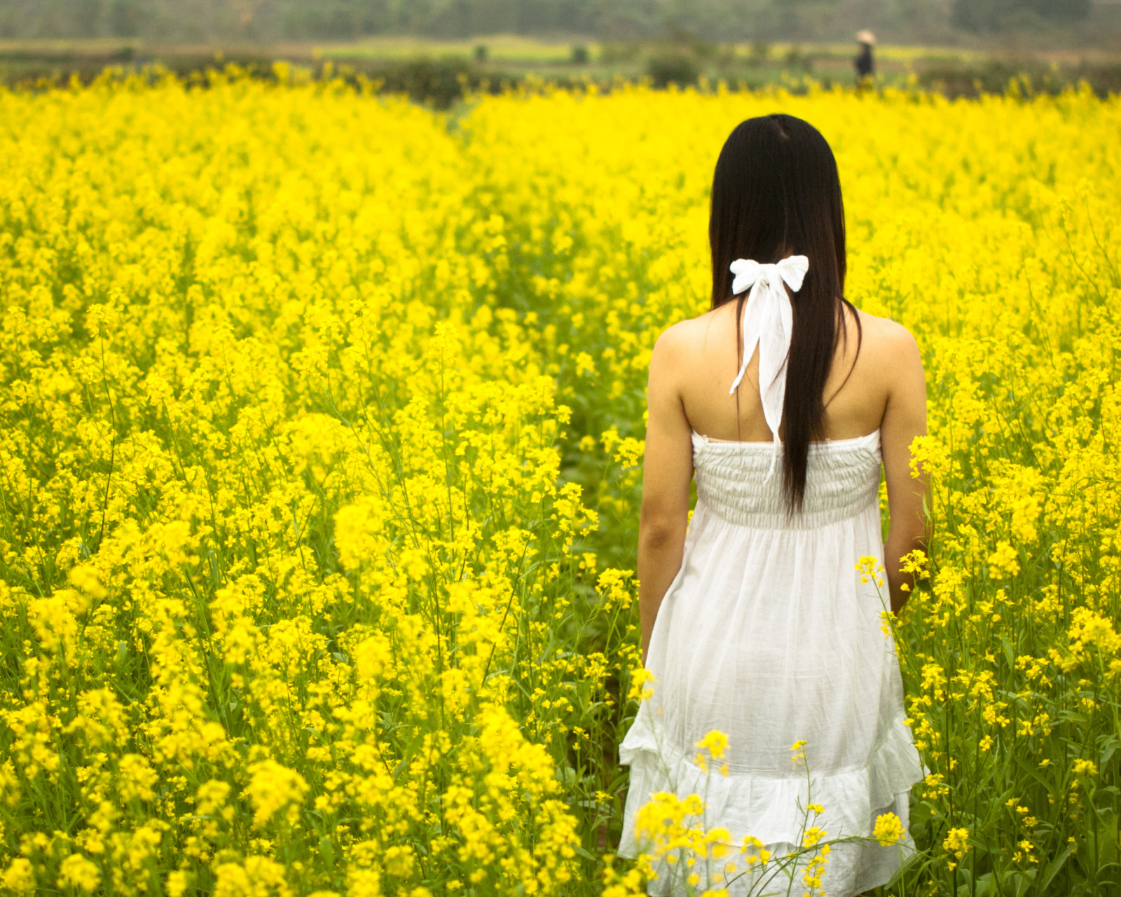 Fondo de pantalla Girl At Yellow Flower Field 1600x1280