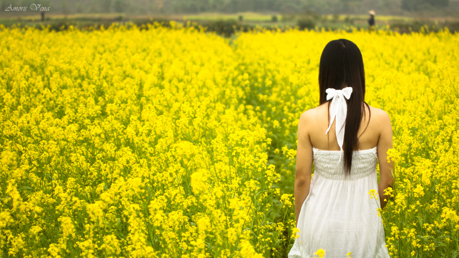 Girl At Yellow Flower Field screenshot #1 1600x900
