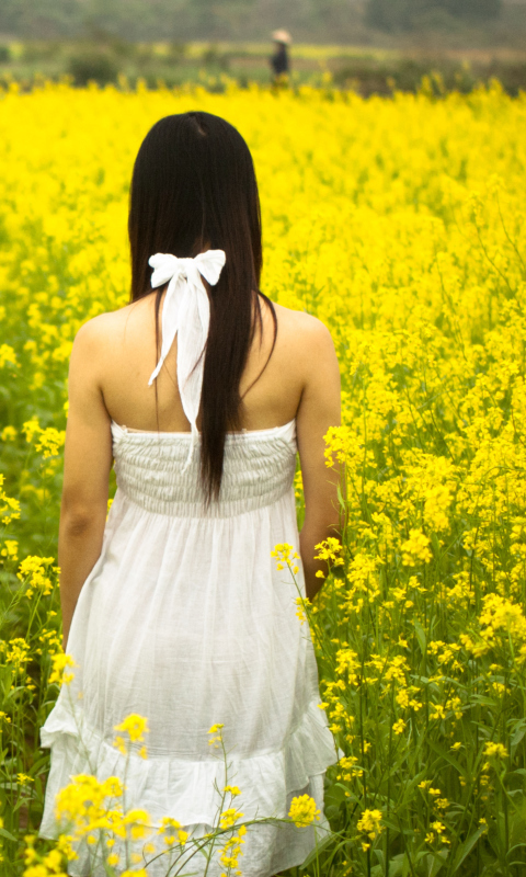 Das Girl At Yellow Flower Field Wallpaper 480x800
