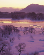 Das Winter Landscape In Fukushima Japan Wallpaper 176x220