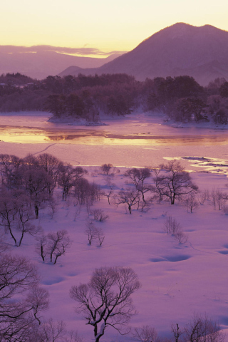 Winter Landscape In Fukushima Japan wallpaper 320x480