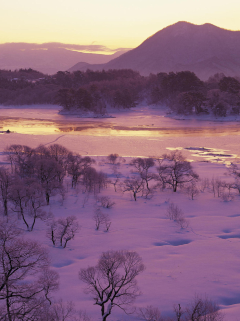 Fondo de pantalla Winter Landscape In Fukushima Japan 480x640