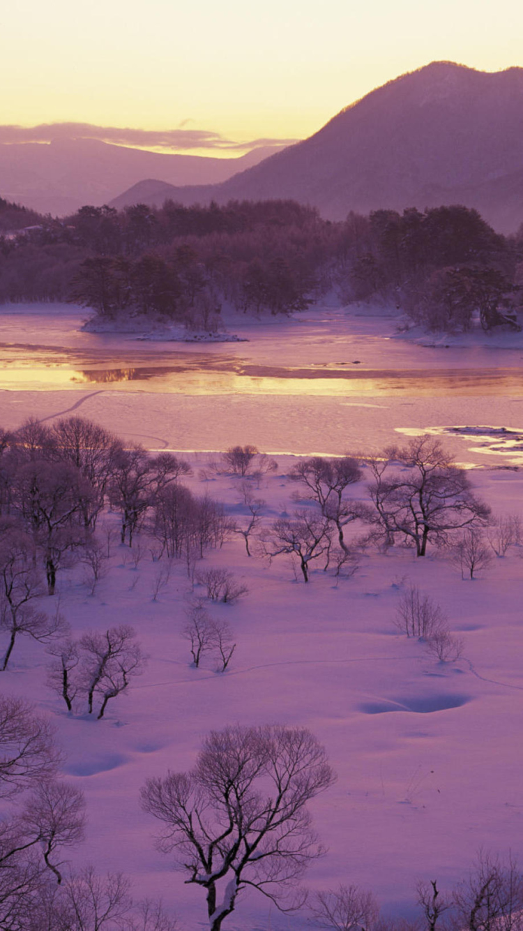 Sfondi Winter Landscape In Fukushima Japan 750x1334