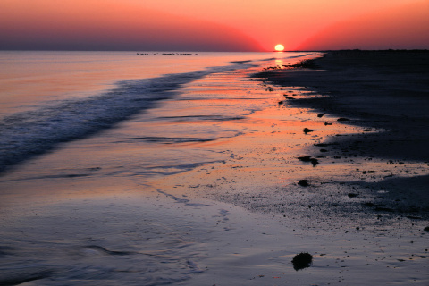 Horizon at sunset screenshot #1 480x320