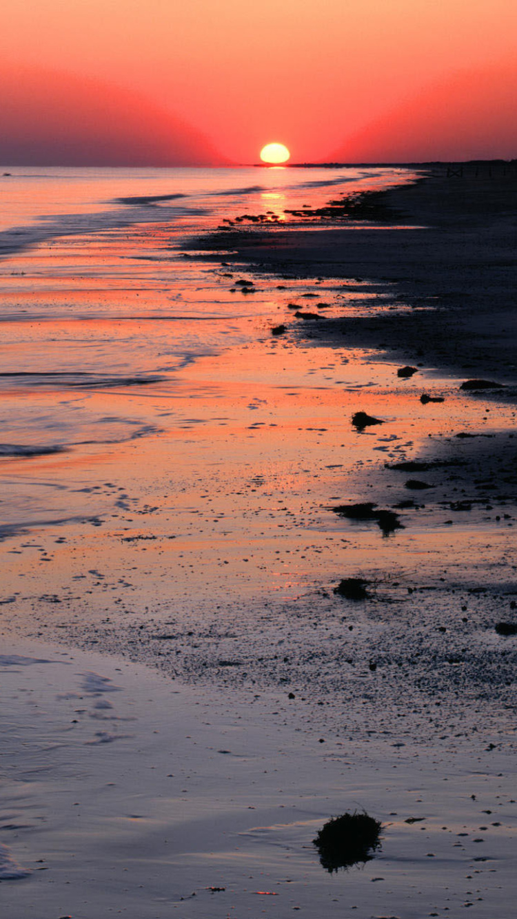 Sfondi Horizon at sunset 750x1334