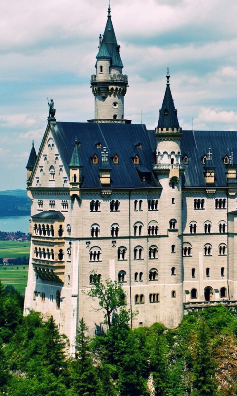 Das Schloss Neuschwanstein Wallpaper 480x800