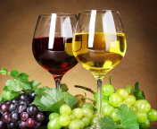 Spanish Wine wallpaper 176x144