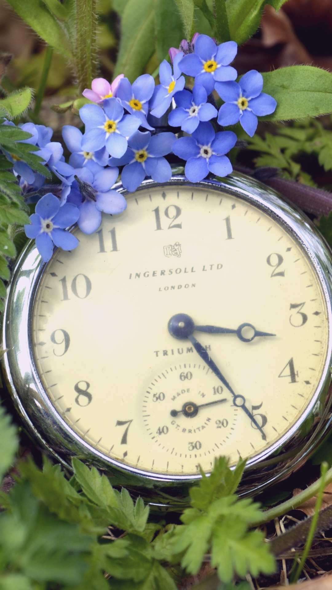 Sfondi Vintage Watch And Little Blue Flowers 1080x1920