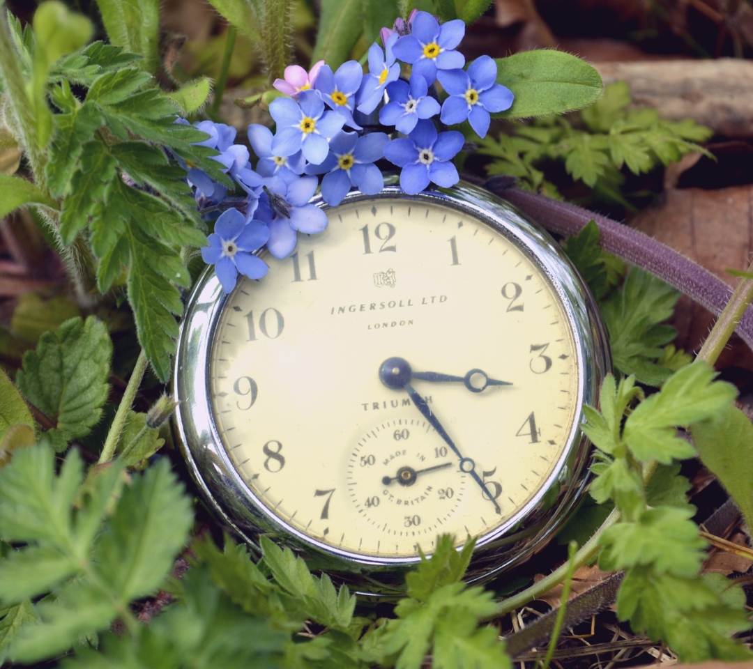 Vintage Watch And Little Blue Flowers wallpaper 1080x960