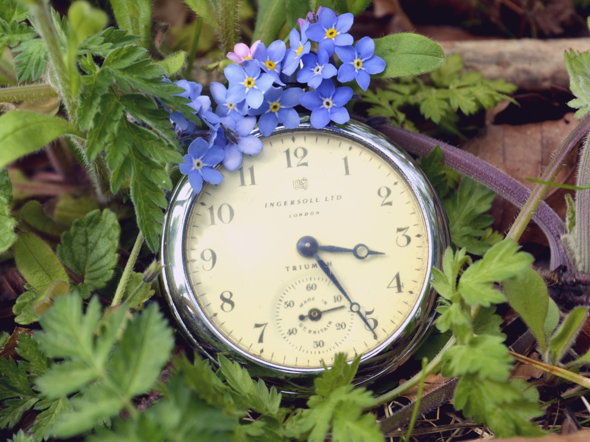 Fondo de pantalla Vintage Watch And Little Blue Flowers 1152x864