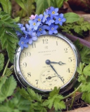 Vintage Watch And Little Blue Flowers wallpaper 128x160