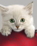 Fondo de pantalla Christmas Kitten 128x160