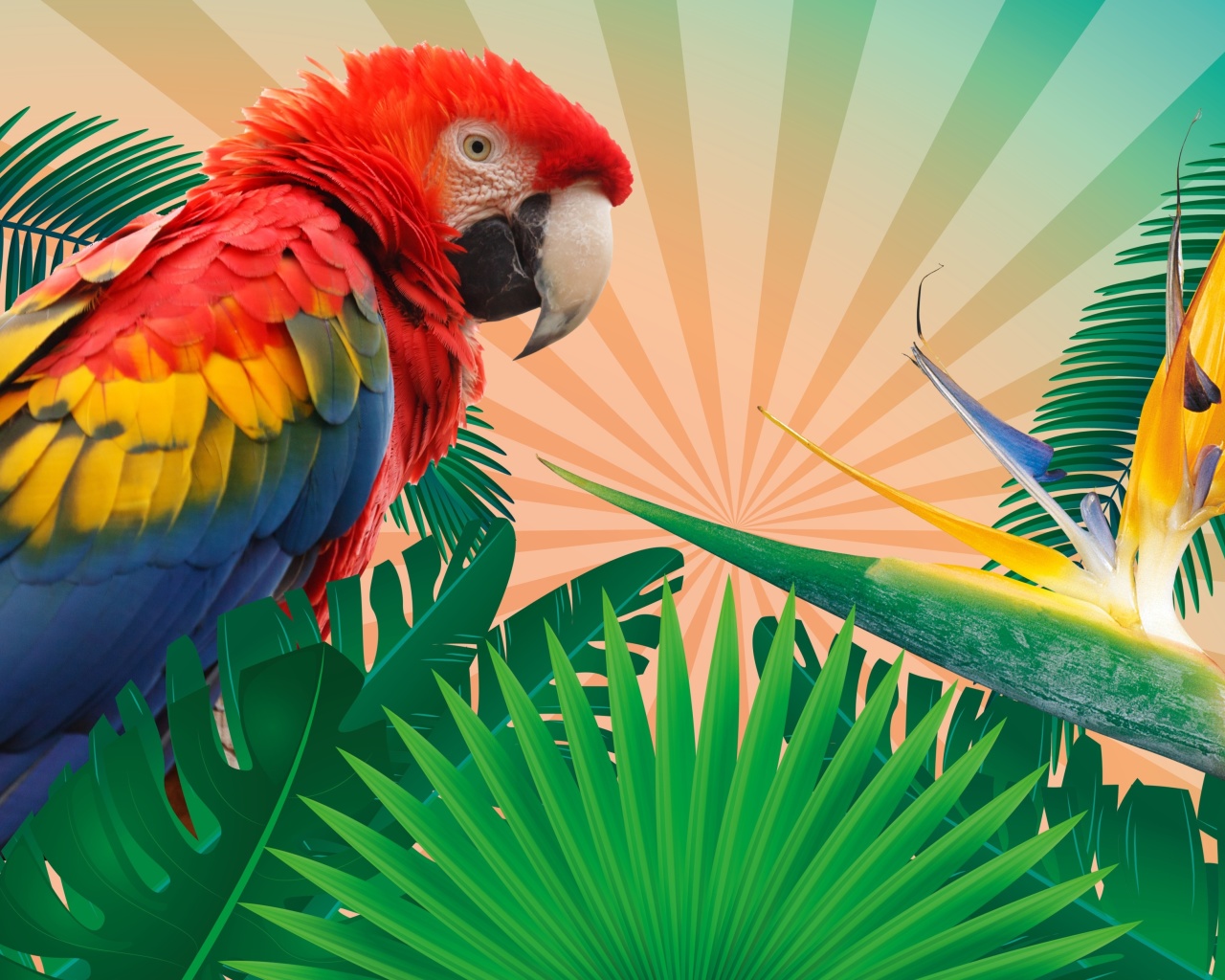 Screenshot №1 pro téma Parrot Macaw Illustration 1280x1024