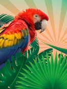 Screenshot №1 pro téma Parrot Macaw Illustration 132x176