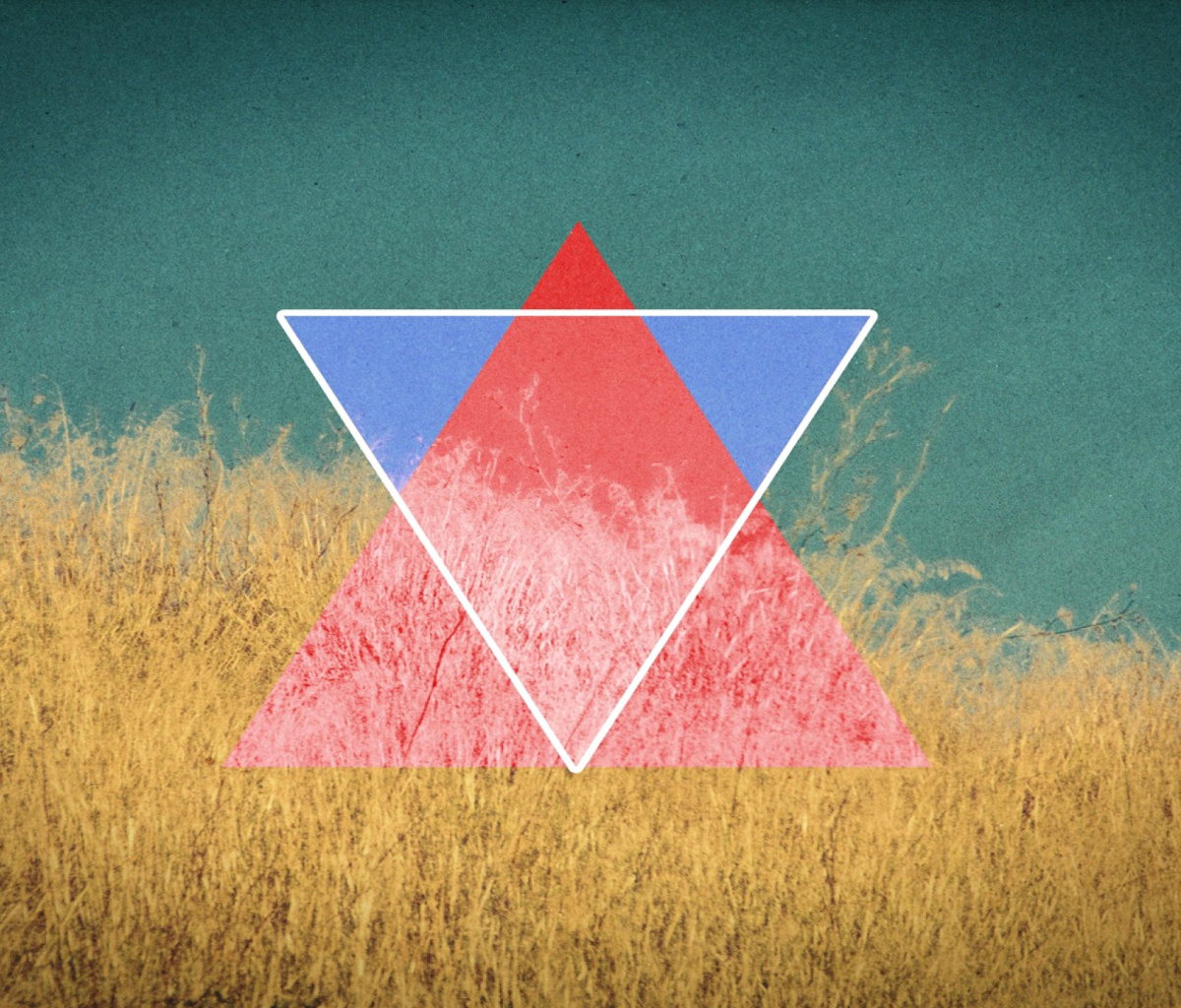 Triangle in Grass wallpaper 1200x1024