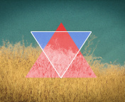 Fondo de pantalla Triangle in Grass 176x144