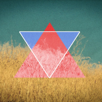 Triangle in Grass wallpaper 208x208