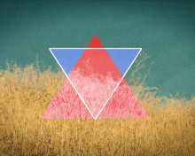 Triangle in Grass wallpaper 220x176