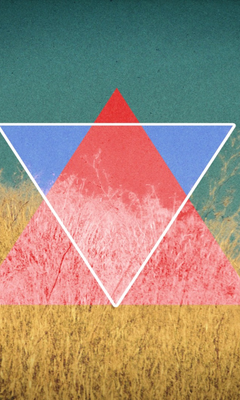 Fondo de pantalla Triangle in Grass 480x800