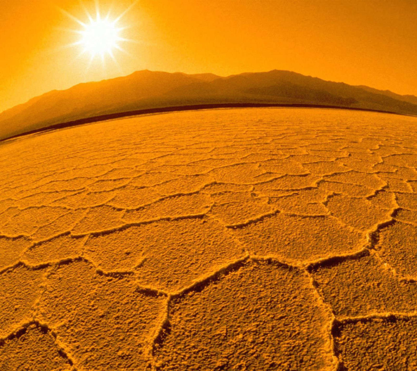 Sfondi Desert 1440x1280