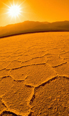 Screenshot №1 pro téma Desert 240x400