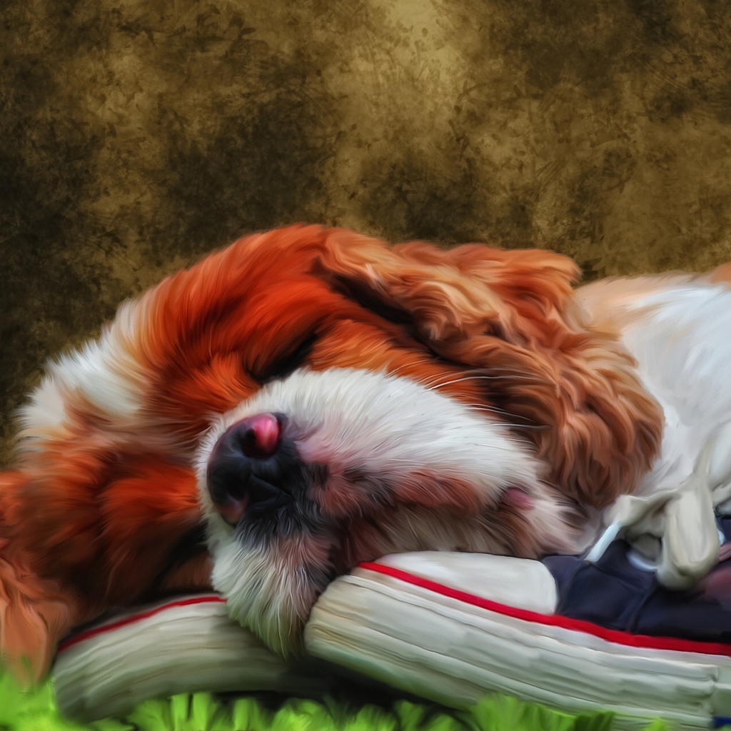 Fondo de pantalla Sleeping Puppy Painting 1024x1024