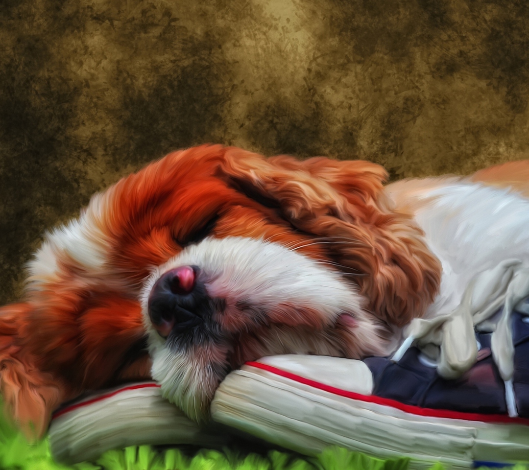 Sleeping Puppy Painting wallpaper 1080x960