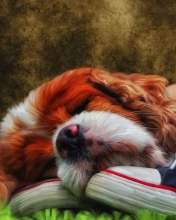 Sleeping Puppy Painting screenshot #1 176x220