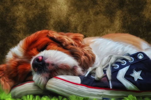 Das Sleeping Puppy Painting Wallpaper 480x320