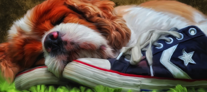 Fondo de pantalla Sleeping Puppy Painting 720x320