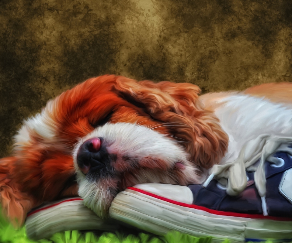Sleeping Puppy Painting wallpaper 960x800