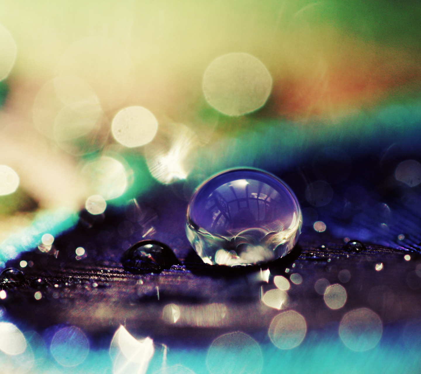 Обои Amazing Water Drop Bokeh 1440x1280