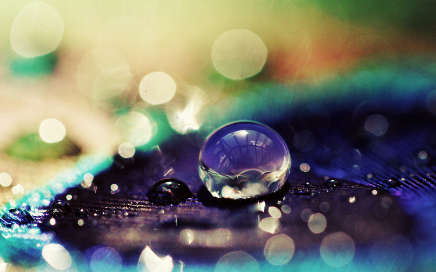 Das Amazing Water Drop Bokeh Wallpaper 1440x900