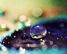 Обои Amazing Water Drop Bokeh 220x176