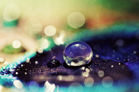 Das Amazing Water Drop Bokeh Wallpaper 480x320