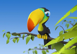Toucan Colorful Parrot Background for Android, iPhone and iPad