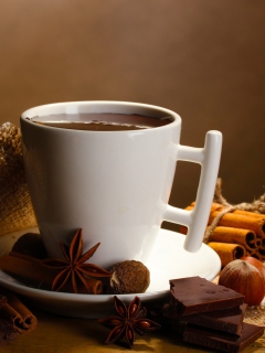 Hot Spicy Chocolate screenshot #1 240x320