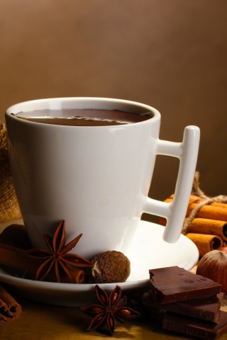 Hot Spicy Chocolate wallpaper 320x480