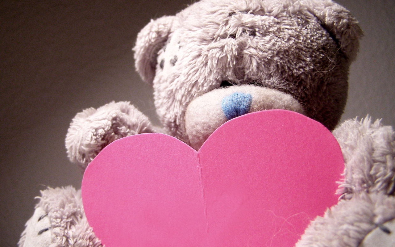 Sfondi Teddy Bear Love 1280x800