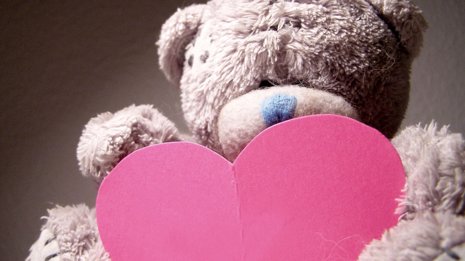 Fondo de pantalla Teddy Bear Love 1600x900