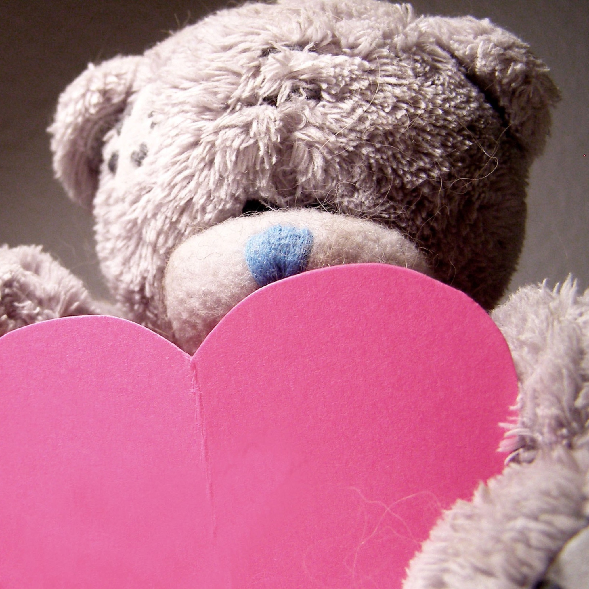 Fondo de pantalla Teddy Bear Love 2048x2048